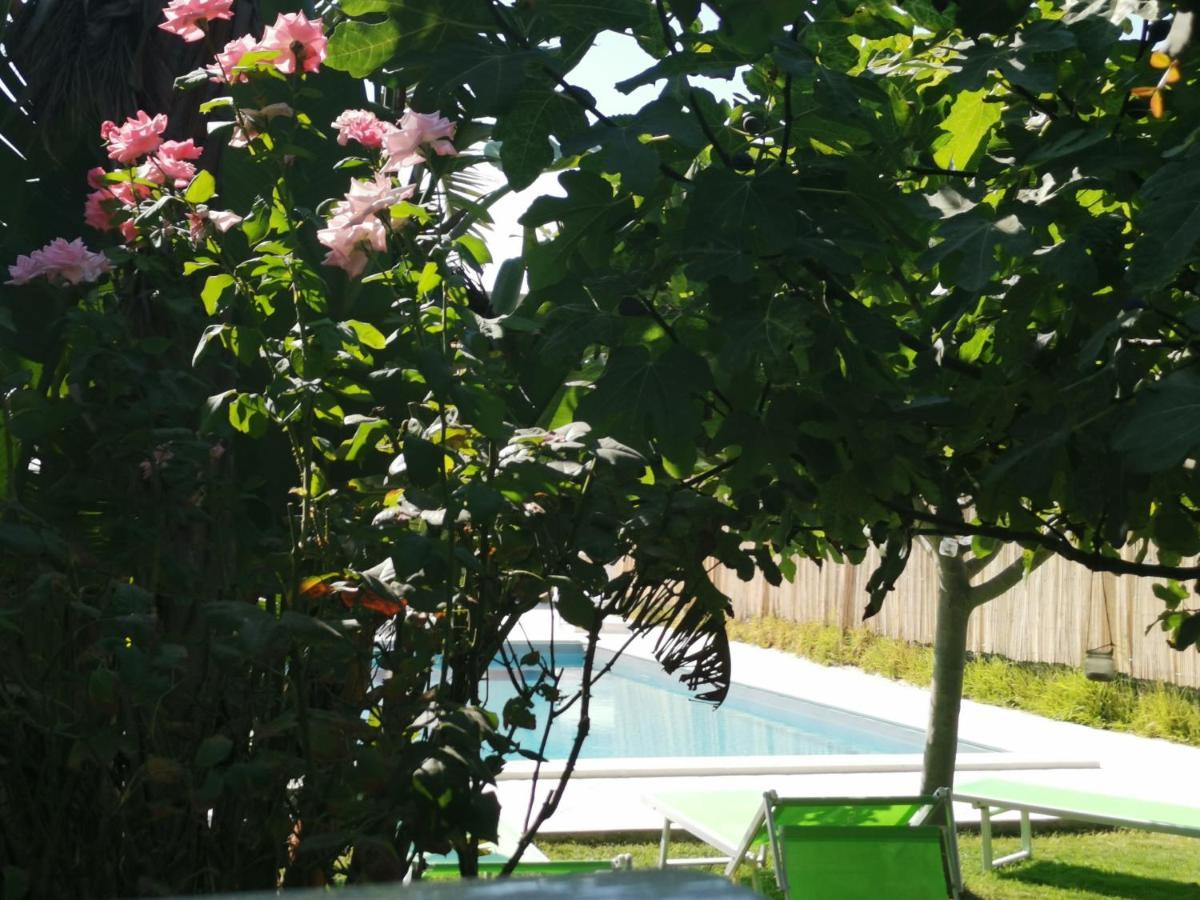 il CARRUBBO, alloggio in villa a Marzamemi Esterno foto
