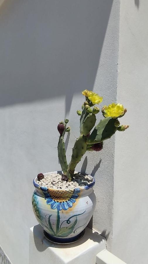 il CARRUBBO, alloggio in villa a Marzamemi Esterno foto